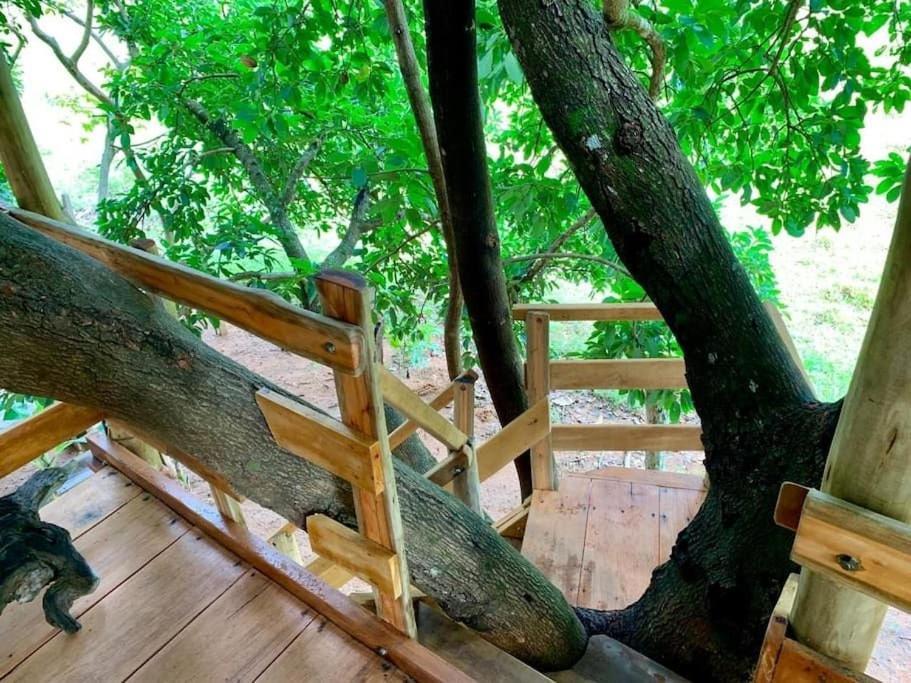 Condominio Shambala Piri Pirenópolis Eksteriør bilde